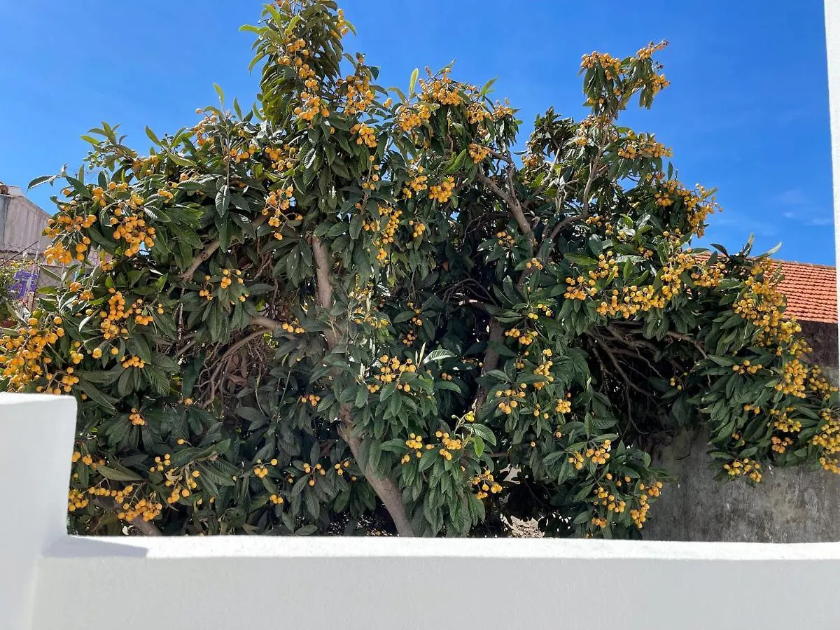 Our Charming House Apartment Portimao